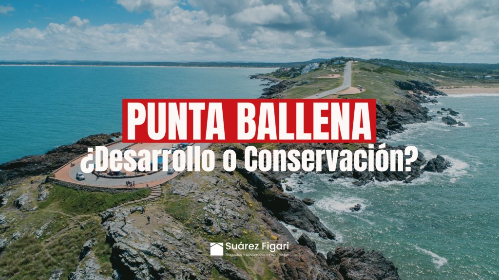 La emblemática Punta Ballena está en el centro de un debate entre desarrollo inmobiliario y conservación ambiental.