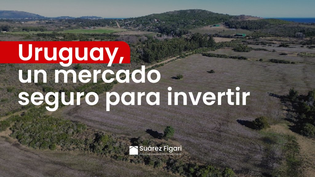 imagen de una chacra en venta en uruguay